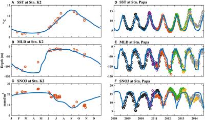 Roles of Iron Limitation in <mark class="highlighted">Phytoplankton Dynamics</mark> in the Western and Eastern Subarctic Pacific